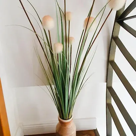 Appartement Fantasy *